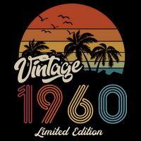63rd Birthday Vintage Limited Edition 1960 T-Shirt