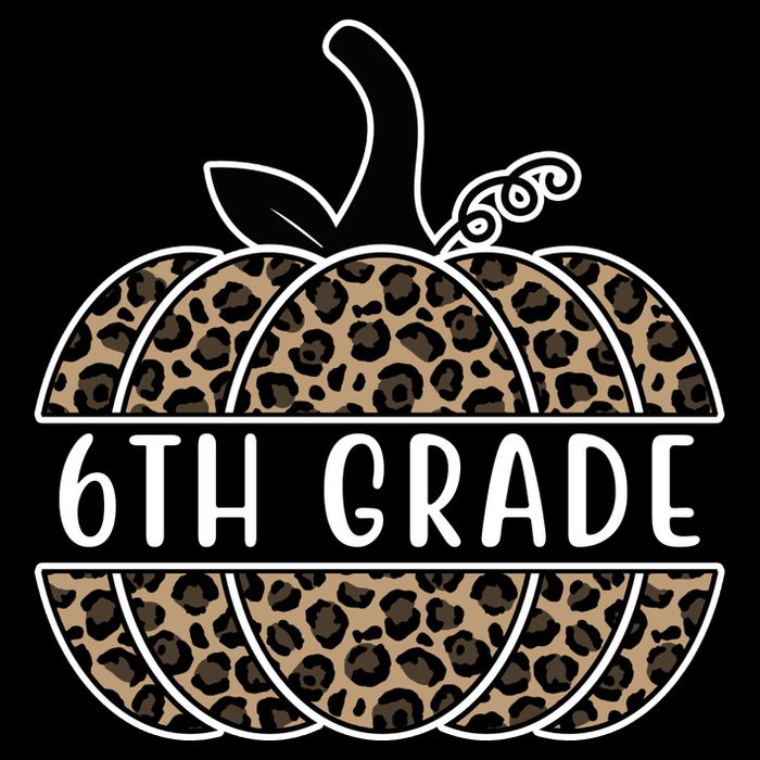 6th Grade Leopard Pumpkin 7-Panel Snapback Hat