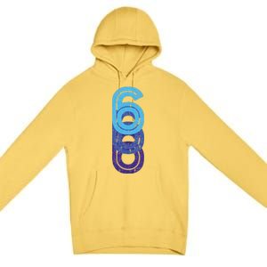 6 Lucky Number 6th Year Birthday Age Sports Team Premium Pullover Hoodie