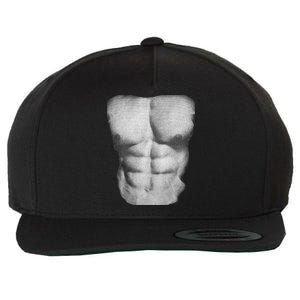 6 Pack Abs Wool Snapback Cap