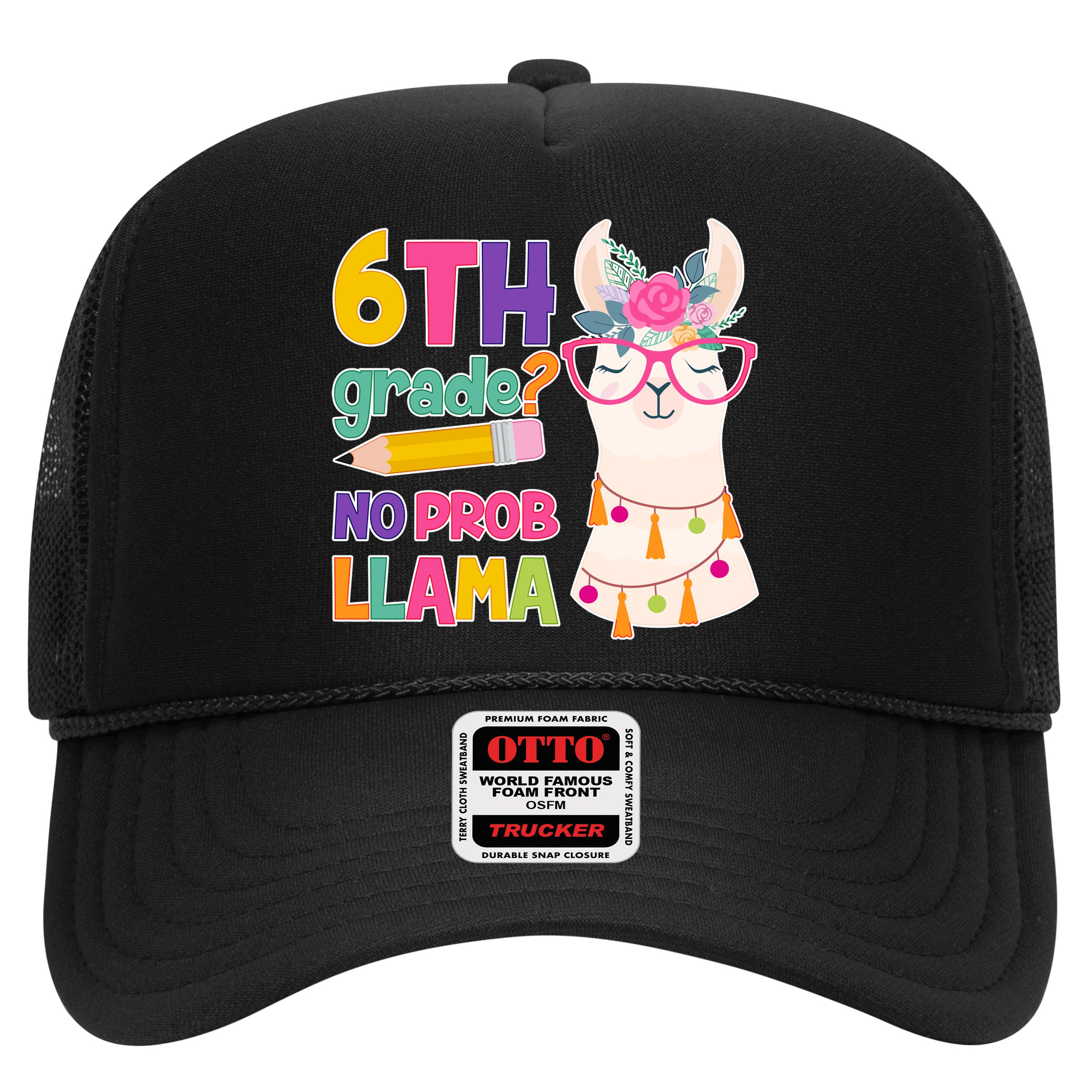 6th Grade? No Prob Llama Hat