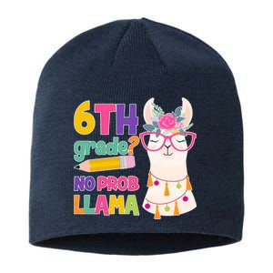 6th Grade? No Prob Llama Sustainable Beanie