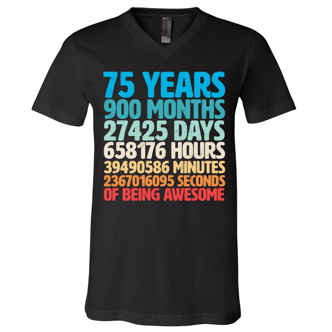 75 Years Of Being Awesome Birthday Time Breakdown V-Neck T-Shirt