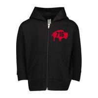 716 Area Code Buffalo New York BFLO WNY Toddler Zip Fleece Hoodie