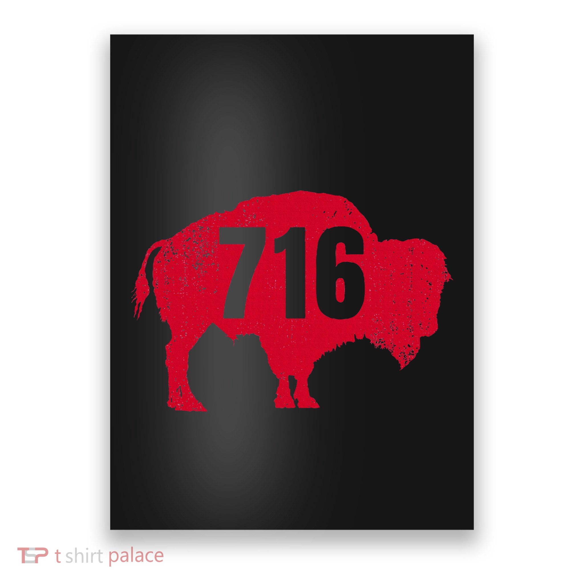 716 Area Code Buffalo Poster
