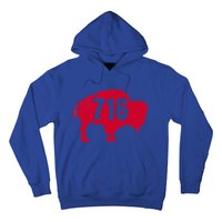 716 Area Code Buffalo New York Bflo Wny Meaningful Gift Hoodie