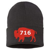 716 Buffalo Ny Sustainable Knit Beanie