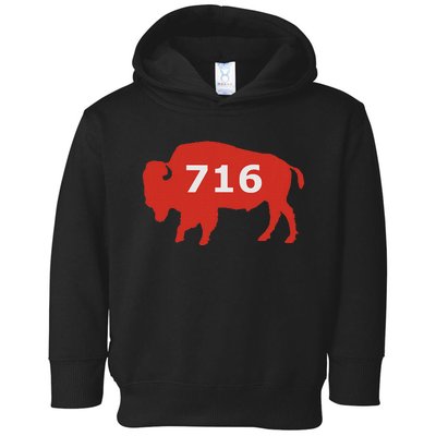 716 Buffalo Ny Toddler Hoodie