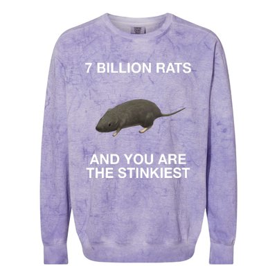 7 Billion Rats And You Are The Stinkiest Colorblast Crewneck Sweatshirt