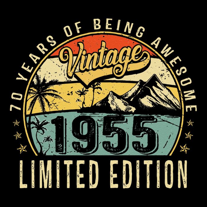 70 Years Old Gift Vintage 1955 70th Birthday Retro Gift T-Shirt
