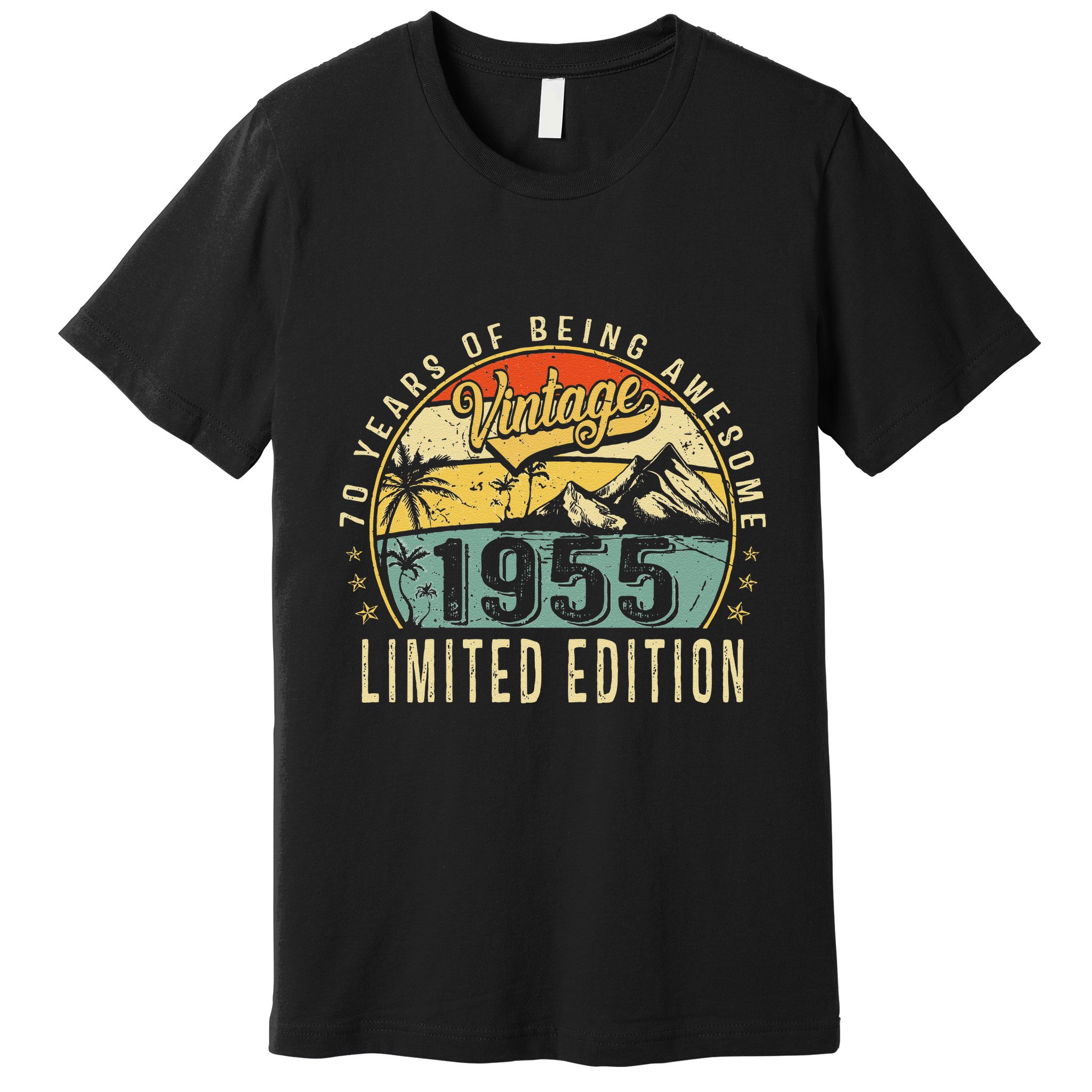 70 Years Old Gift Vintage 1955 70th Birthday Retro Gift Premium T-Shirt