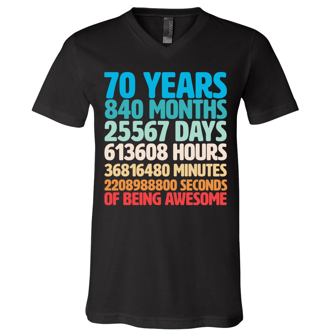 70 Years Of Being Awesome 70th Birthday Time Breakdown V-Neck T-Shirt