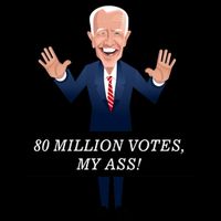 80 Million Votes My Ass Mug