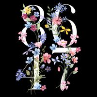 86 47 Floral Boho Style Poster