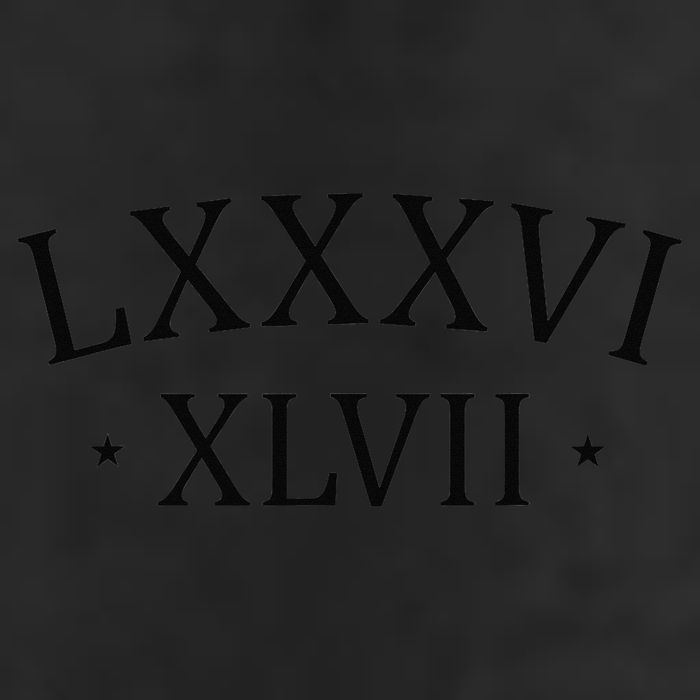 86 47 LXXXVI XLVII Roman Numerals Subtle Anti Trump Adult Drive Performance Visor
