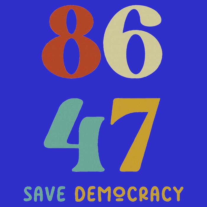 86 47 Save Democracy Anti Trump Political Protest Toddler T-Shirt