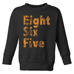 865 Area Code Tennessee Knoxville Eight Six Five Fan Toddler Sweatshirt