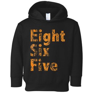 865 Area Code Tennessee Knoxville Eight Six Five Fan Toddler Hoodie