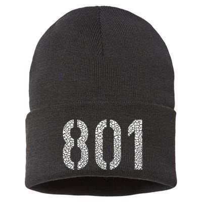 801 Area Code Salt Lake City Sustainable Knit Beanie