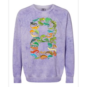 8th Birthday Reptiles Lizards Themed 8 Year Old Colorblast Crewneck Sweatshirt