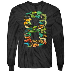 8th Birthday Reptiles Lizards Themed 8 Year Old Tie-Dye Long Sleeve Shirt