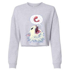 8 Bit Shrimpin Thurston The Cat Cropped Pullover Crew