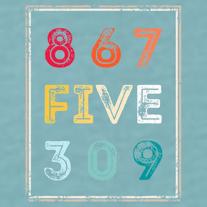 8675309 Nostalgic And Funny 80s & 90s Sueded Cloud Jersey T-Shirt