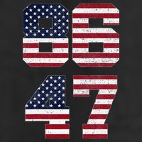 8647 Subtle Anti Funy 86 47 Retro America Flag Adult Drive Performance Visor