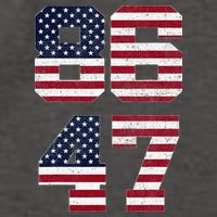 8647 Subtle Anti Funy 86 47 Retro America Flag Vector Backpack