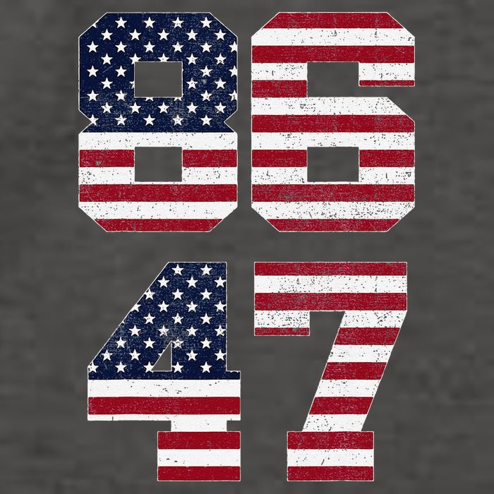 8647 Subtle Anti Funy 86 47 Retro America Flag Vector Backpack