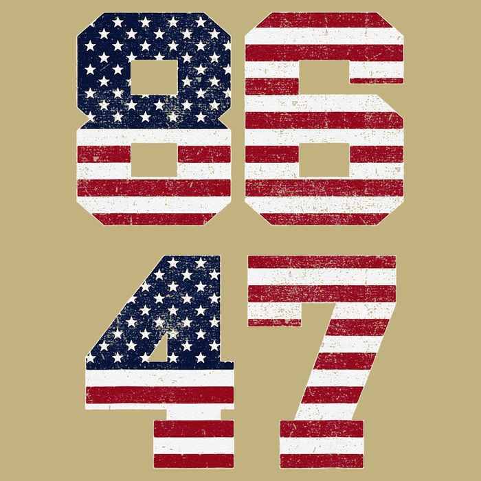8647 Subtle Anti Funy 86 47 Retro America Flag Cooling Performance Crew T-Shirt