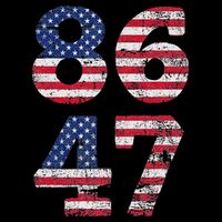 8647 Subtle Anti Trump Ironic Distressed Usa Flag Womens T-Shirt