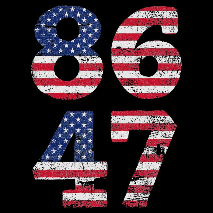 8647 Subtle Anti Trump Ironic Distressed Usa Flag Womens T-Shirt