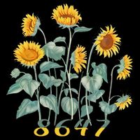 8647 Subtle Anti Trump 86 47 Sunflower Support Ukraine Women's V-Neck T-Shirt