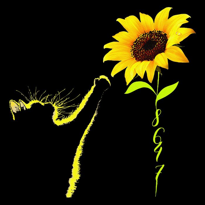 8647 Subtle Political Statement 86 47 Cat Sunflower 16 in Basic Backpack