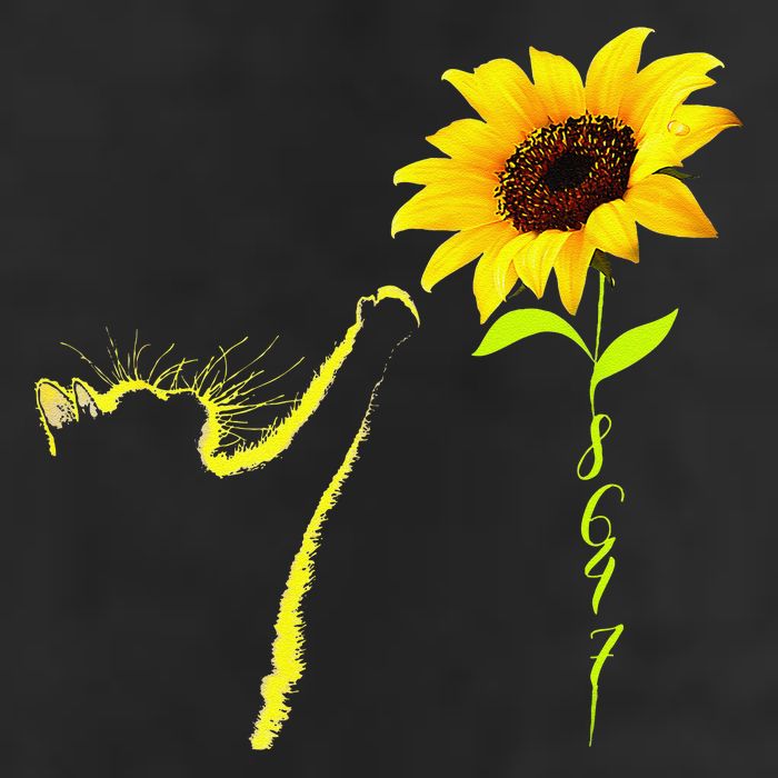 8647 Subtle Political Statement 86 47 Cat Sunflower Hat