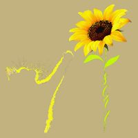 8647 Subtle Political Statement 86 47 Cat Sunflower Cooling Performance Long Sleeve Crew