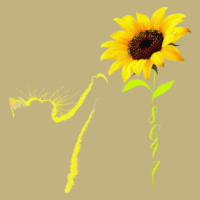 8647 Subtle Political Statement 86 47 Cat Sunflower Cooling Performance Long Sleeve Crew