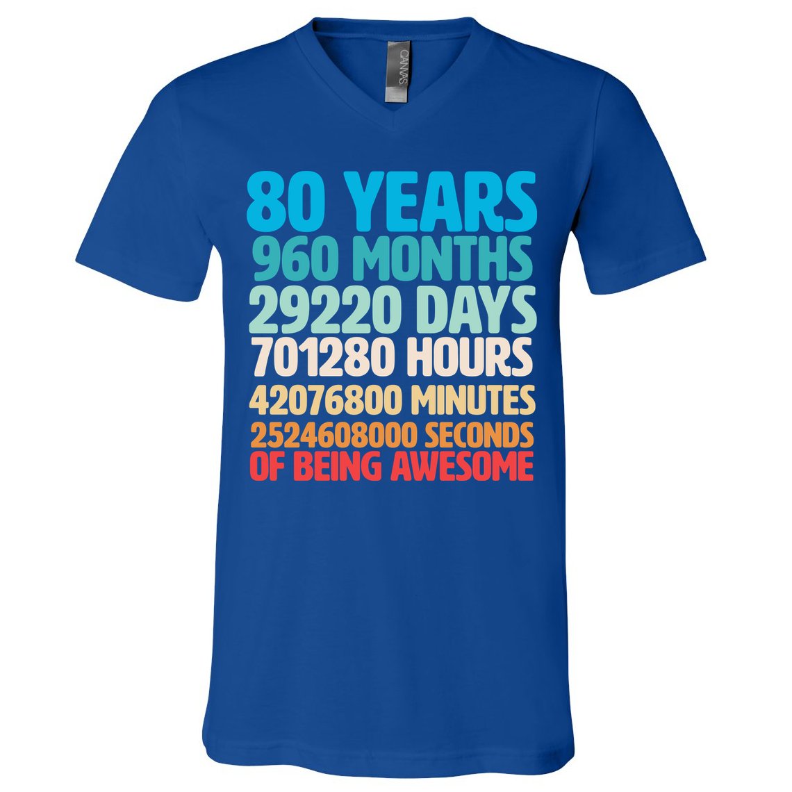80 Years Of Being Awesome 80th Birthday Time Breakdown V-Neck T-Shirt