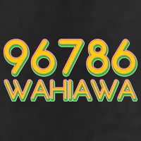 96786 Wahiawa  Adult Drive Performance Visor
