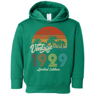 94th Birthday Vintage Limited Edition 1929 Toddler Hoodie