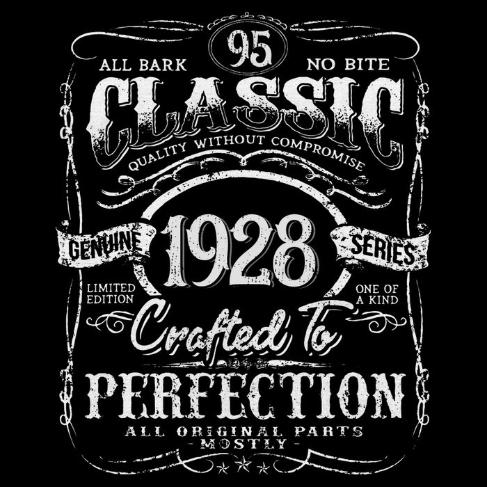 95th Classic Birthday gift 95 Perfection 1928 Birthday 16 in Basic Backpack