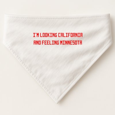 90s Grunge Music Grunge Fashion USA-Made Doggie Bandana