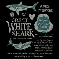90S Great White Shark Cooling Performance Crew T-Shirt