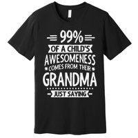 99 Of A Childs Awesomeness Comes From Their Grandma Premium T-Shirt