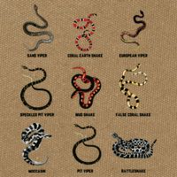 9 Snakes Snake Lover Men Snake Snake Cotton Canvas Backpack