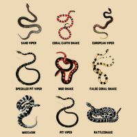 9 Snakes Snake Lover Men Snake Snake Bag