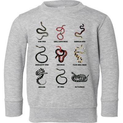 9 Snakes Snake Lover Men Snake Snake Toddler Sweatshirt