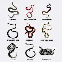 9 Snakes Snake Lover Men Snake Snake Cool Comfort Performance Bucket Hat