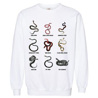9 Snakes Snake Lover Men Snake Snake Garment-Dyed Sweatshirt